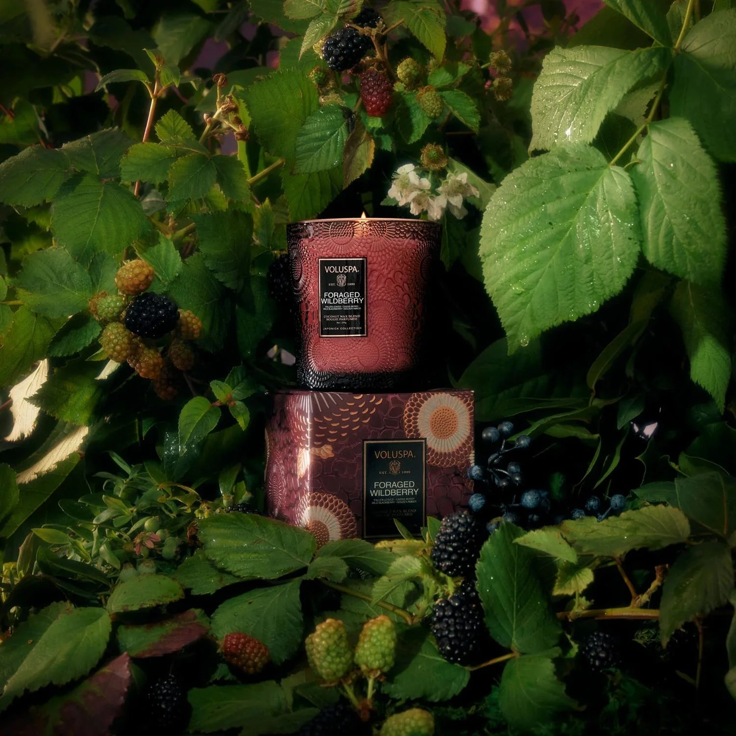 Produktbilde 6